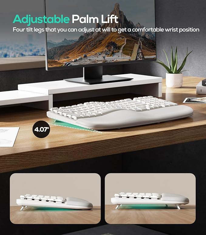 Nulea RT08 Wave Keys Wireless Ergonomic Keyboard with Cushioned Palm Rest, 2.4GHz Ergo Cordless USB Computer Keyboard, Comfortable Natural Typing, for Laptop, Mac, Windows (White)