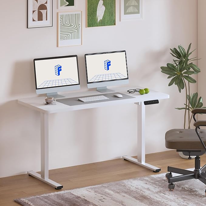 FLEXISPOT Standing Desk, 48" x 24" One-Piece Desktop, Height Adjustable Computer Desk for Home Office, White Frame & White Top (One Package)
