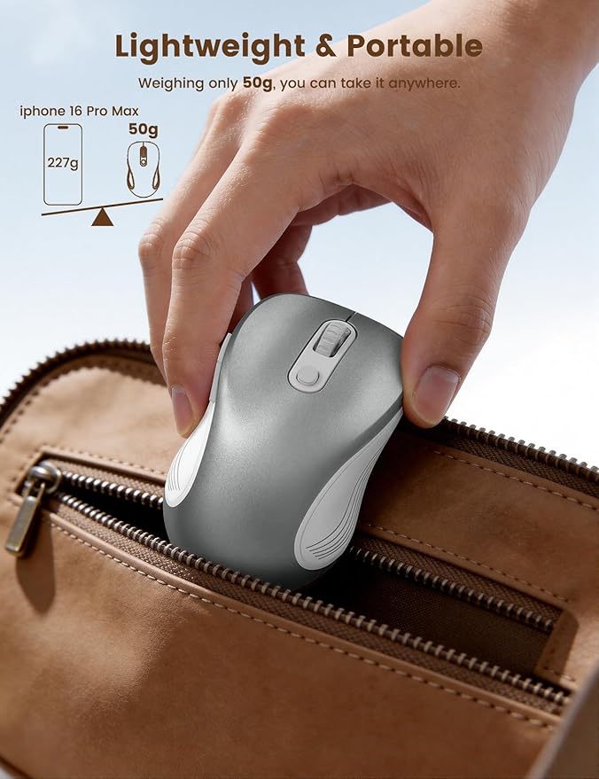 WisFox 2.4G Wireless Mouse for Laptop, Ergonomic Computer Mouse with USB Receiver and Type-C Adapter, 3 Adjustable Levels DPI, 6 Button Cordless Wireless Mice (Silver)