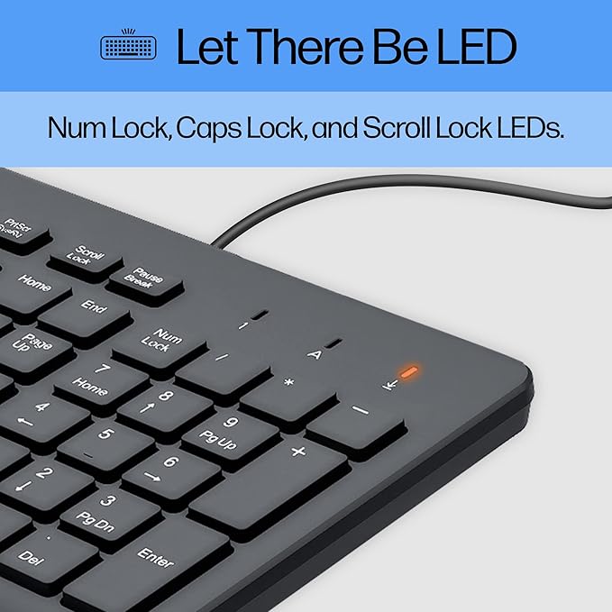 HP 150 Wired Keyboard - Full-Sized, Keyboard with Numeric Keypad - Silent-Touch Chiclet Keyboard - Ergonomic, Comfortable Design - USB Plug-and-Play Connectivity, LED Indicators (664R5AA, Black)