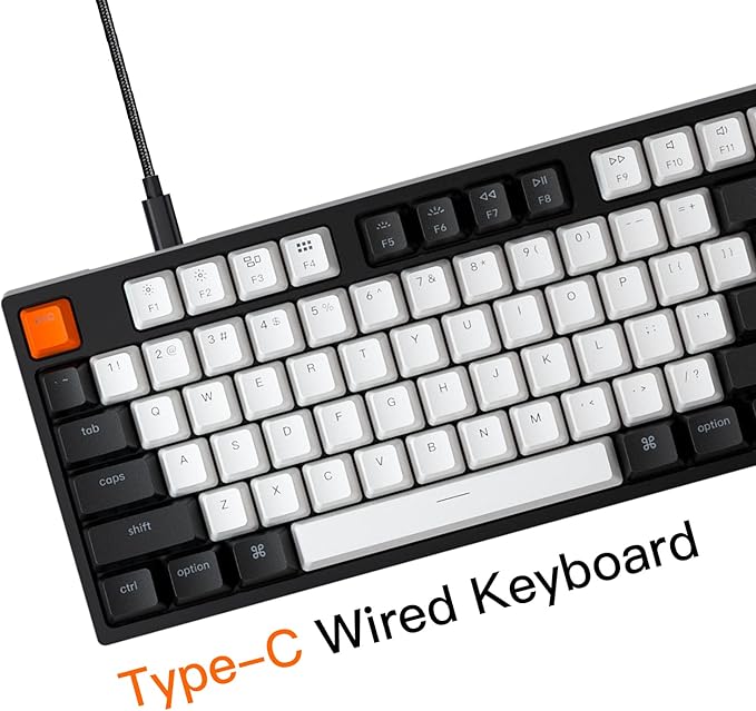 Keychron C2 Full Size Wired Mechanical Keyboard for Mac, Hot-swappable, Gateron G Pro Red Switch, RGB Backlight, 104 Keys ABS keycaps Gaming Keyboard for Windows, USB-C Type-C Braid Cable