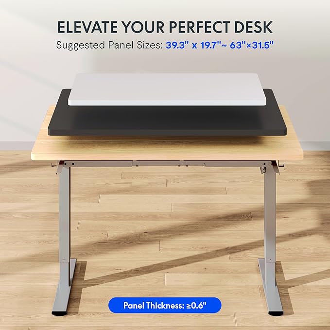 FLEXISPOT EN1 Height Adjustable Standing Desk Frame, Electric Sit Stand Desk Base for Home and Office (Gray Frame Only)