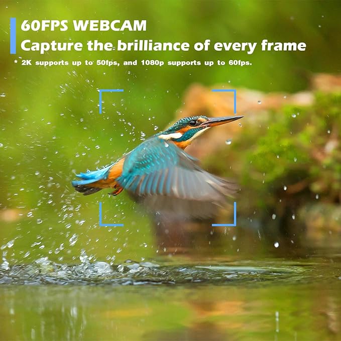 W4 2K Autofocus Webcam with Dual Mics & LED Light, 1080P 60fps/2K 50fps, USB Streaming Camera for PC, Laptop, Switch 2, Desktop - Plug and Play