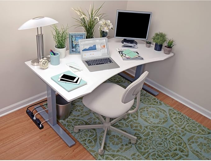 Tripp Lite 6 Outlet Surge Protector Power Strip 6ft Cord 990 Joules Dual USB Charging & Insurance (TLP606USBB)