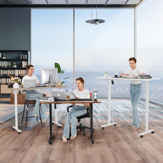Electric Adjustable Standing Desk with Wheels, 63'' x 24'' Sit Stand with Dual Crossbeam Structure and Mouse Pad, 27''-46'' Lifting Range (Black)