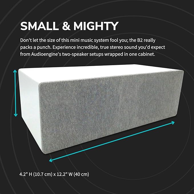 Audioengine All in One A2+ (B2) Portable Wireless Speaker - Audio with Lossless aptX Bluetooth and Analog Audio Input for Phone, Tablet, and Computers