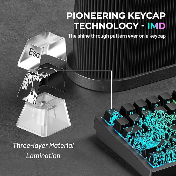 HITIME x XVX Kanagawa Keycaps 60 75 100 Percent - Shine Through Keycaps w/IMD Tech, for Mechanical Keyboards, Full 118 Key Set, OEM Profile, Lines Backlit, Side Printed - Black