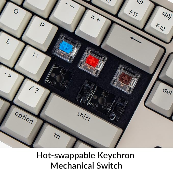 Keychron C2 Full Size Hot-swappable Wired Mechanical Keyboard Compatible with Mac, Keychron Brown Switch, 104 Keys ABS Retro Color Keycaps Gaming Keyboard for Windows, USB-C Type-C Braid Cable