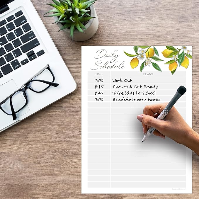 Dry Erase Daily Schedule Planner Sticker Decal by Glassboard Studio | Removable & Reusable | Magnetic Fine-Tip Marker Included (9 x 12 inches, Lemon Fresh)