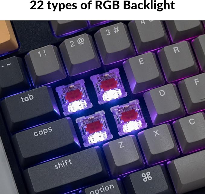 Keychron C2 Pro Wired QMK/VIA Mechanical Keyboard Full Size Layout Custom Programmable Macro RGB Backlit with Keychron K Pro Red Switch OEM Profile Double-Shot PBT Keycaps for Mac Windows Linux