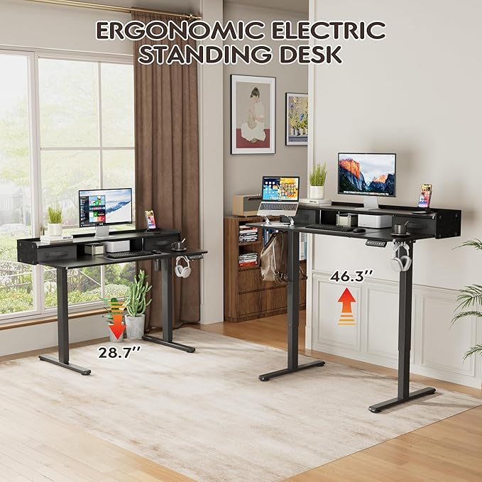 Furmax Electric Standing Desk with Drawers, Stand Up Desk with Storage Shelf Height Adjustable Computer Desk with Organizer for Home Office Ergonomic (Black, 48 Inch)