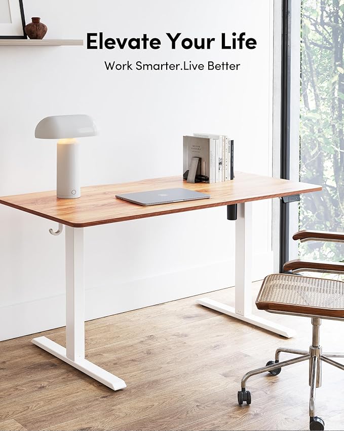 FEZIBO Electric Standing Desk Adjustable Height, 48 x 24 Inch Sit and Stand Desk, Home Office Desk, Ergonomic Workstation Computer Desk, Light Rustic