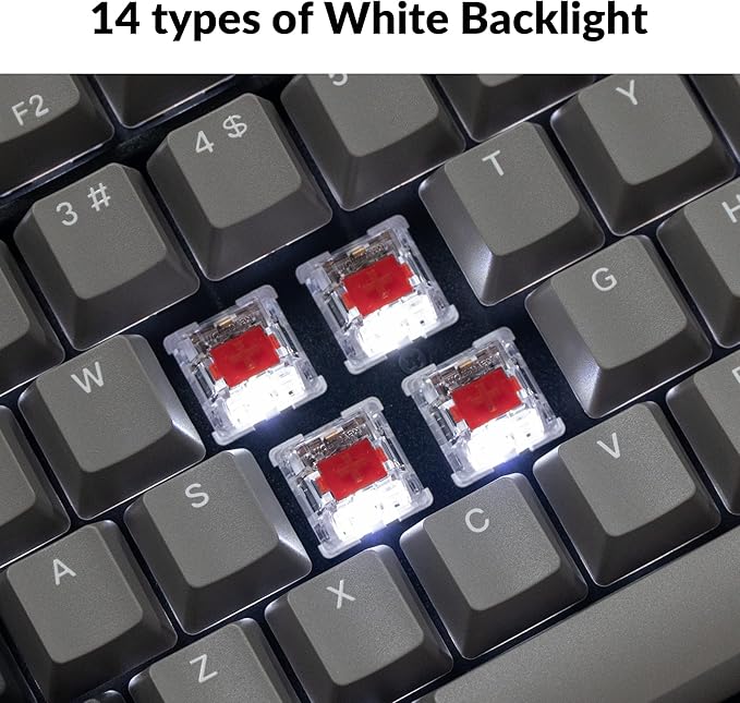 Keychron C2 Pro Wired Custom Mechanical Keyboard Full Size Layout QMK/VIA Programmable Macro White Backlit with Linear Red Switch OEM Profile Double-Shot PBT Keycaps for Mac Windows Linux