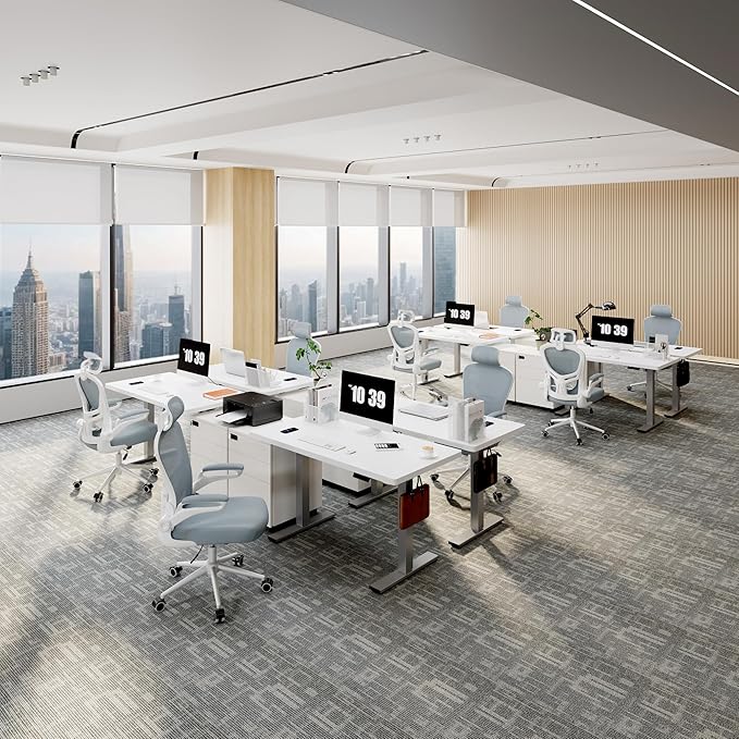 FLEXISPOT EN1 Height Adjustable Standing Desk Frame, Electric Sit Stand Desk Base for Home and Office (Gray Frame Only)