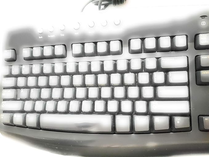 Microsoft Digital Media Pro Keyboard