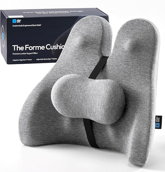Lumbar Support Pillow for Office Chair - Ergonomic Lower Back Pillow with Adjustable SpineAlign™ Bolster, Firm Memory Foam Pillow for Car, Couch - Dual Straps, Light Grey (Light Grey)