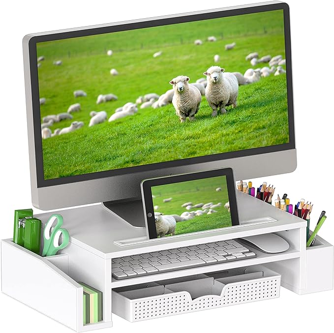 Simple Houseware Desk Monitor Stand Riser with Adjustable Organizer Tray, White